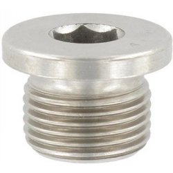 Rotax 641-733 (641733) Plug Screw M10X1 Din 908-A2-70